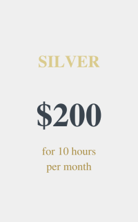 Silver package Virtual Assistant Services